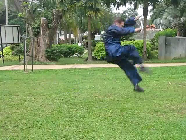 Swallow Flyiung through Clouds